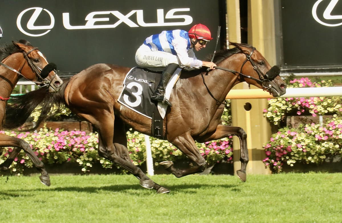 Whisky On The Hill wins his way into the Melbourne Cup