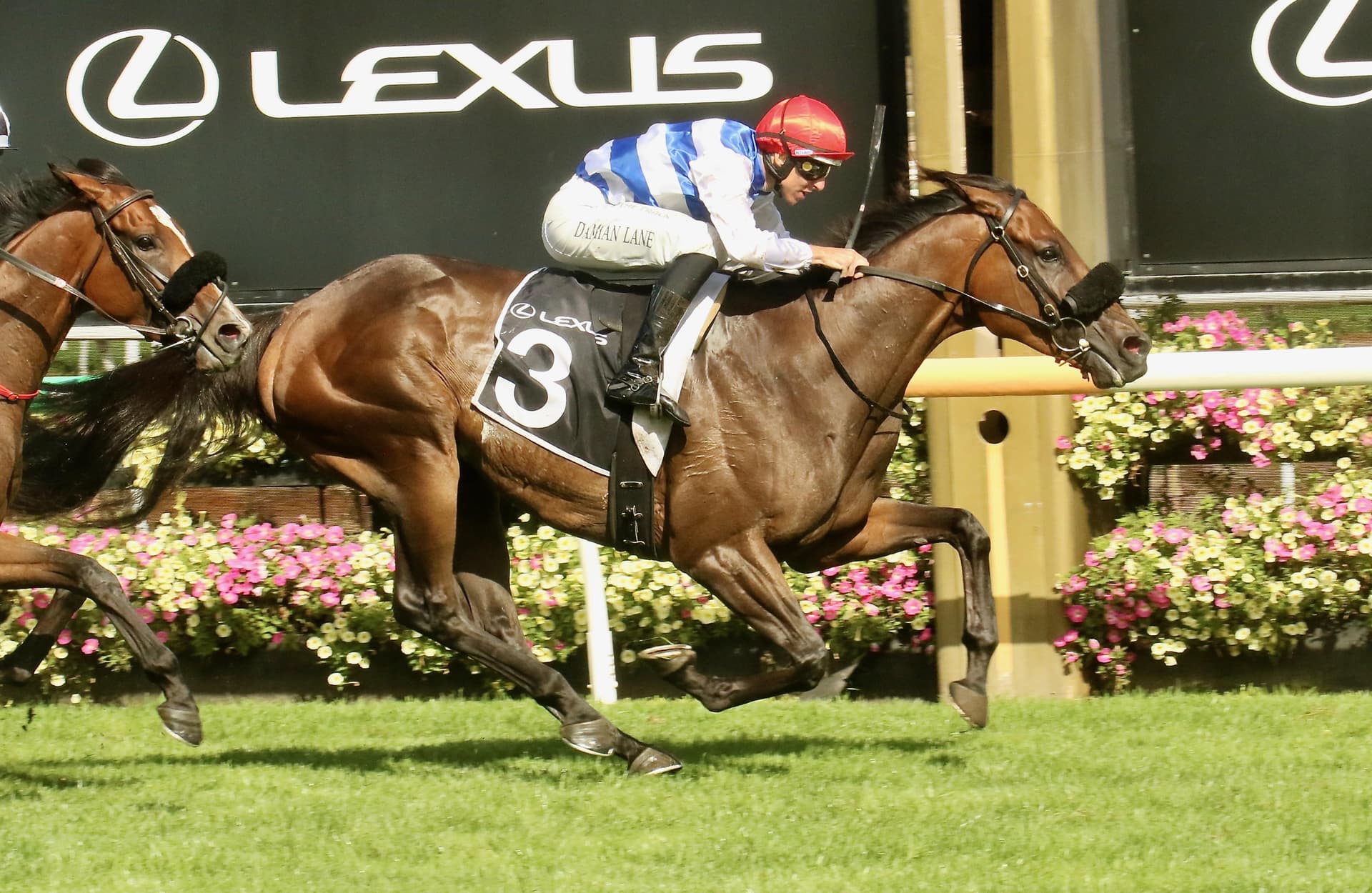 Whisky On The Hill wins his way into the Melbourne Cup